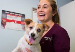 Karen Kennedy RVN, PgD Vet Phys, IRVAP, CERT Small Animal Hydrotherapy