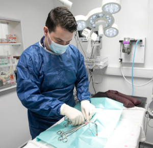 Pet Surgeries