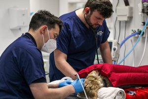 Dental with monitoring